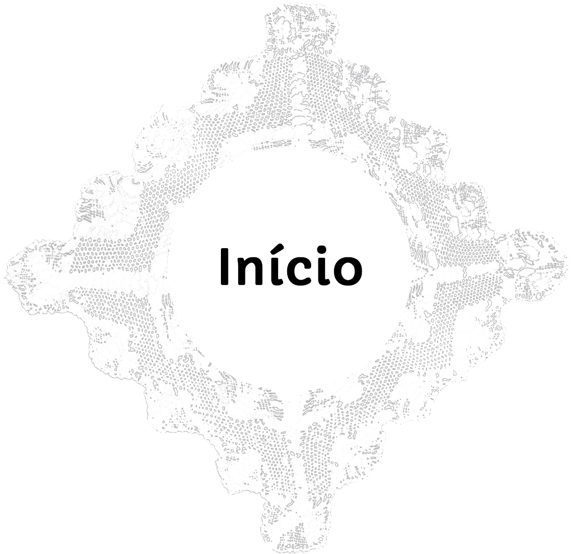 Os Melhores Produtos para Limpar Rendas Delicadas em Calçados