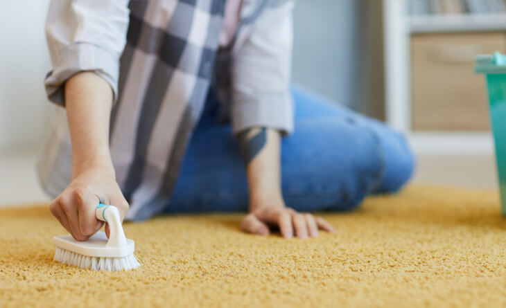 Quando Contratar um Profissional para Limpar Seu Tapete de Pele?