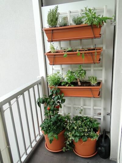 Guia Completo de Plantas para Horta Vertical em Apartamentos