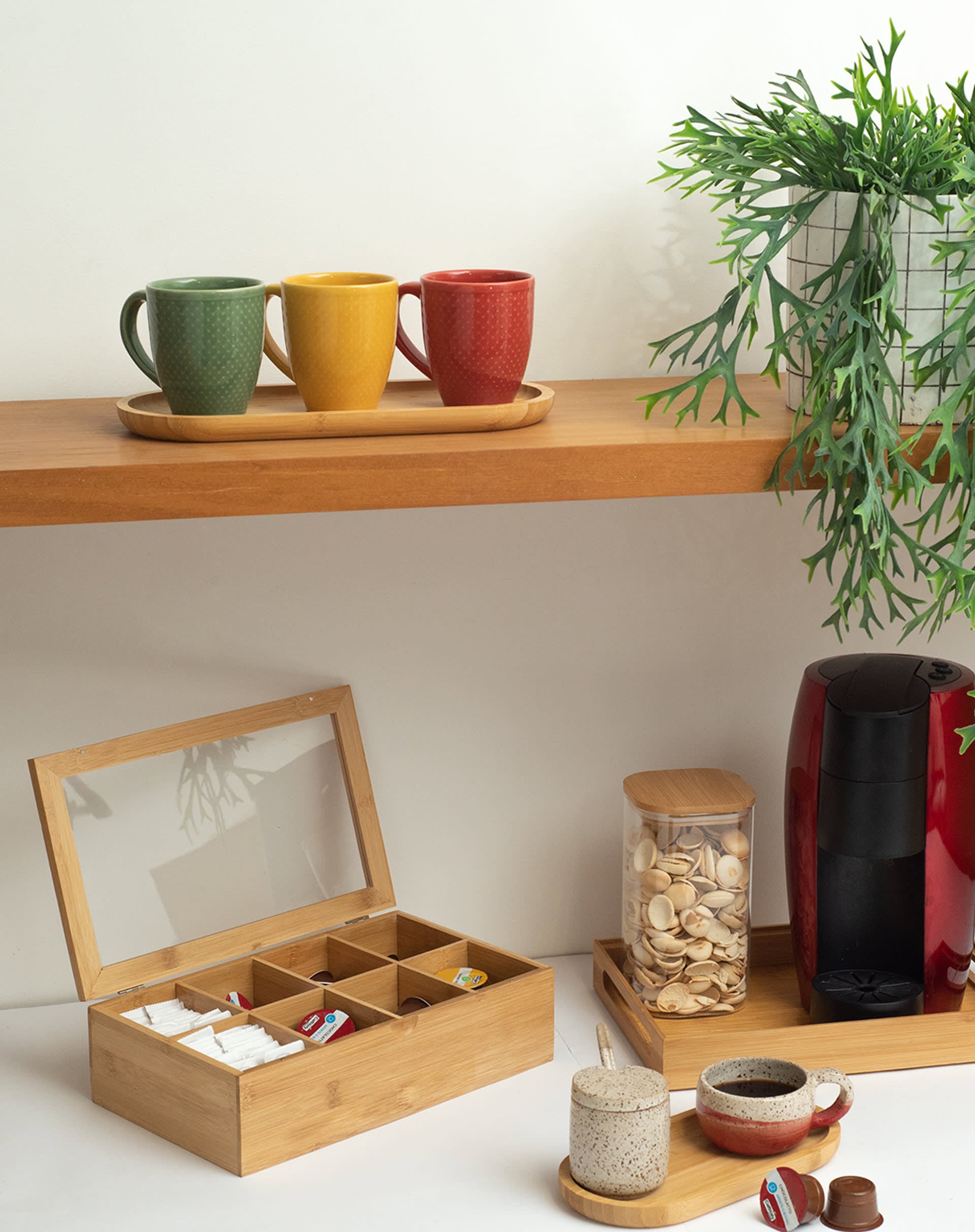 Decoração Biofílica: Como Integrar Plantas no Seu Cantinho do Café