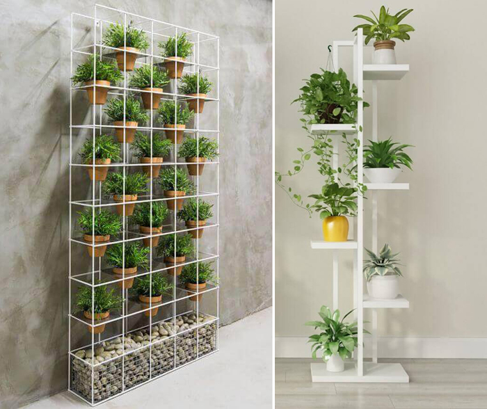 Melhores plantas para vasos de parede