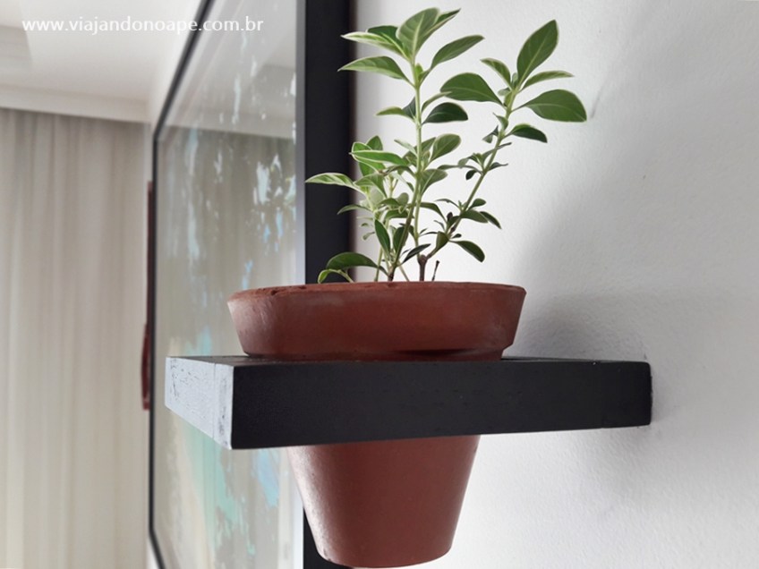 Como escolher o vaso ideal para cada suporte