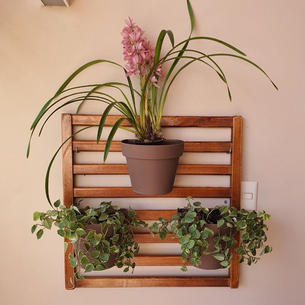 Dicas de manutenção para jardins verticais