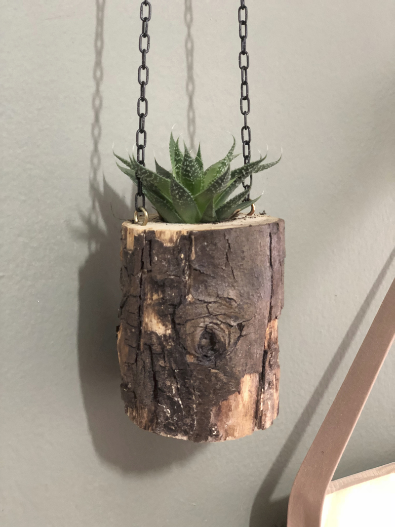 Melhores plantas para vasos de parede