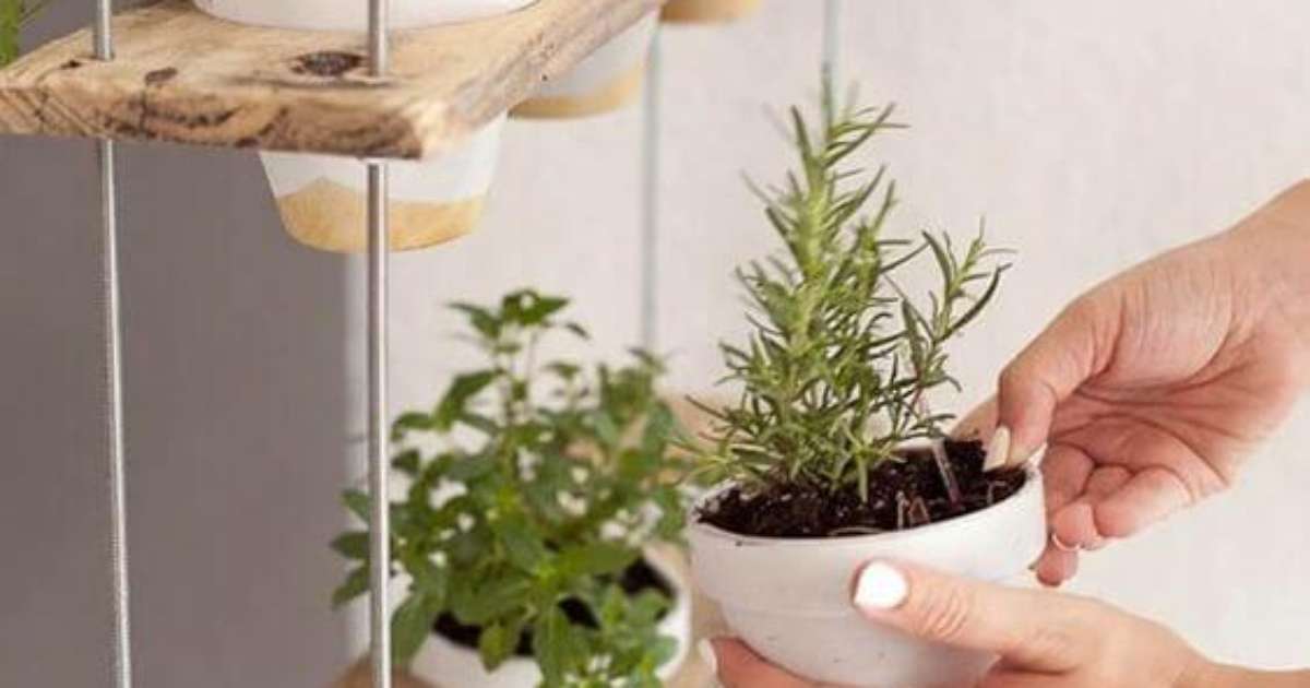 Dicas de manutenção para jardins verticais