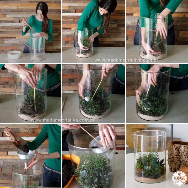 Os Melhores Recipientes de Vidro para Seu Terrário