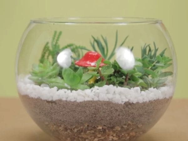 Terrário para Iniciantes: Tudo o que Você Precisa Saber