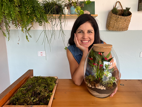 Como Montar um Terrário de Suculentas: Dicas Essenciais