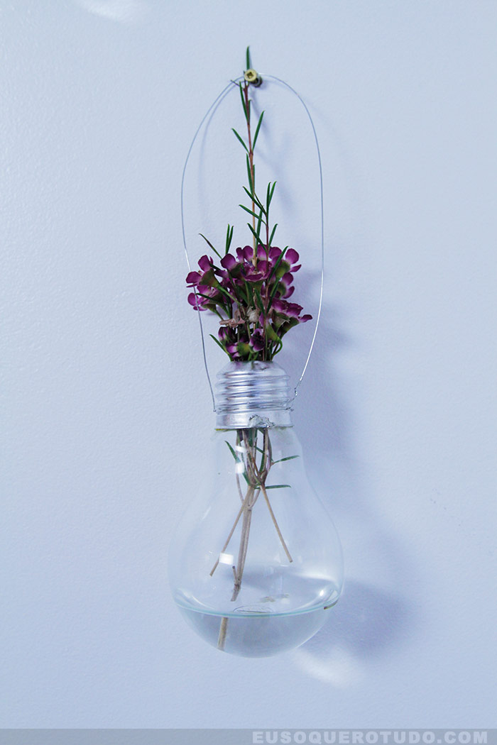 Guia Completo de Plantas para Mini Terrários em Lâmpadas