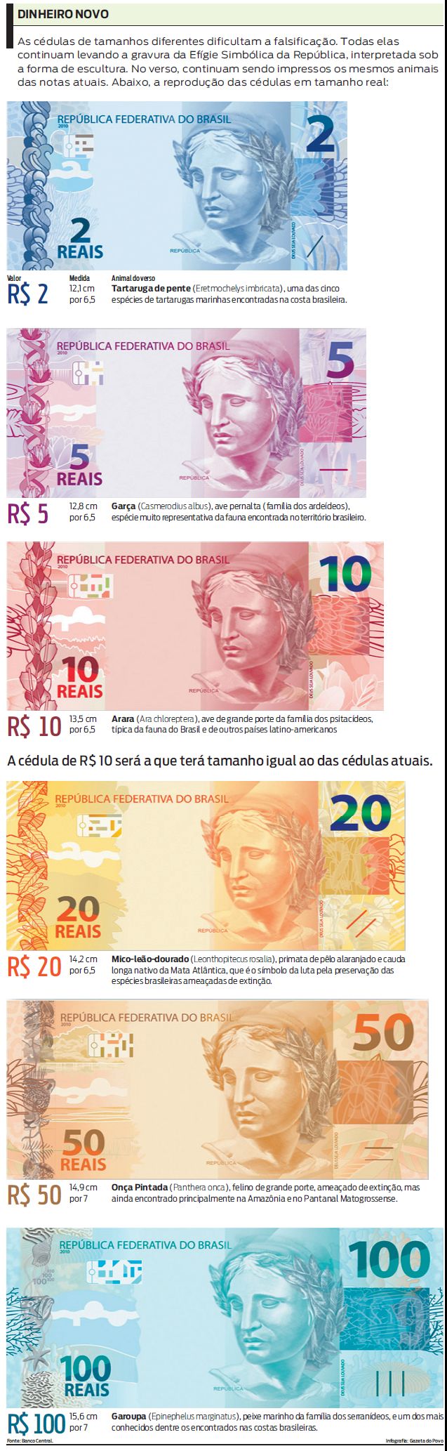 Guia Completo: Como Identificar Notas de Real Falsas