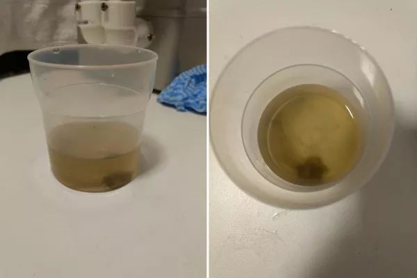 Os Melhores Kits de Limpeza para Discos de Vinil em 2024