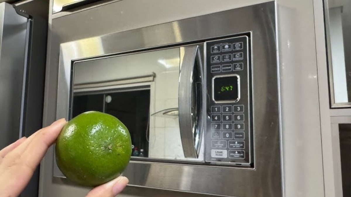 Guia Completo: Removendo Manchas Difíceis do Micro-ondas