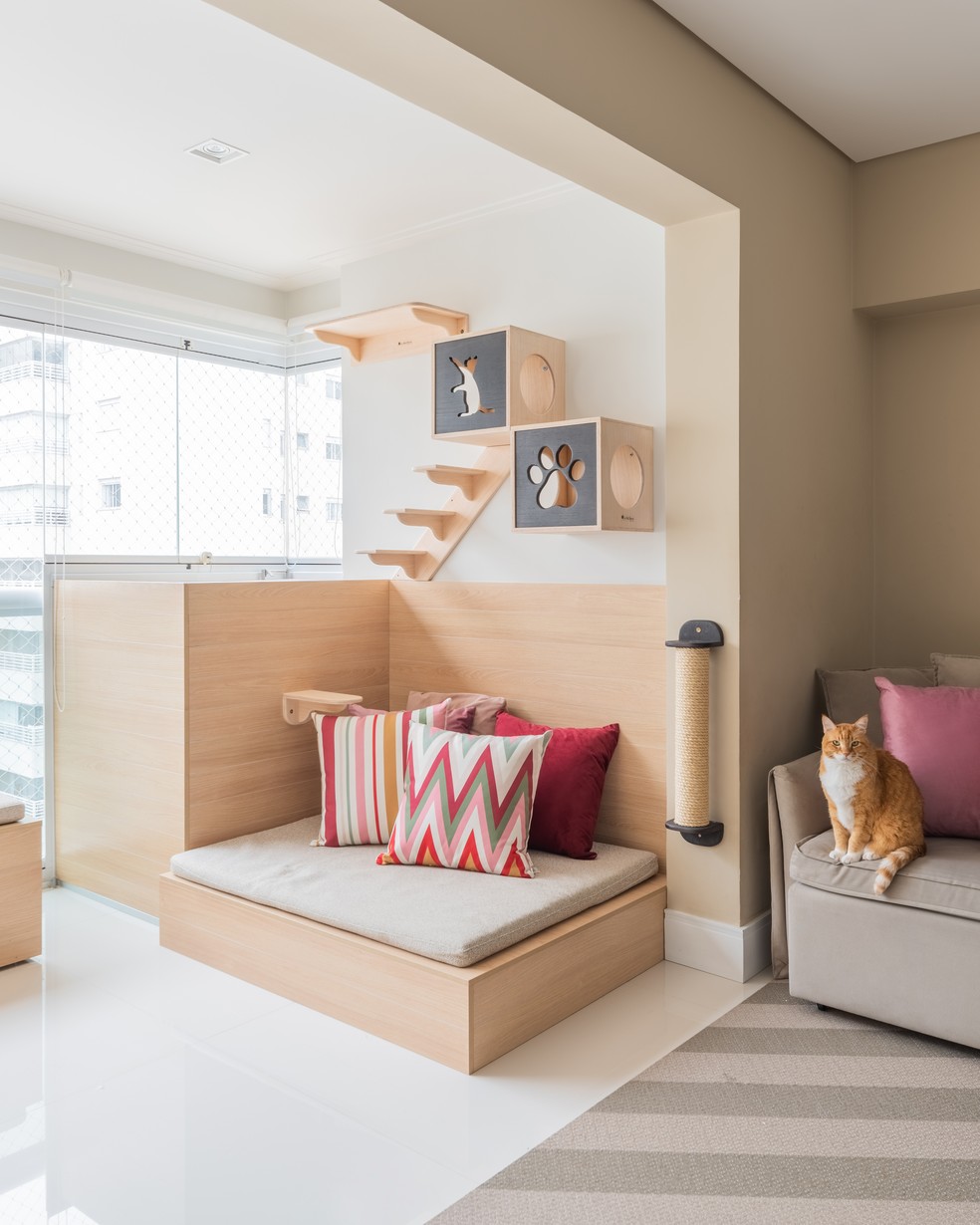 como organizar a área de lazer com espaço pet