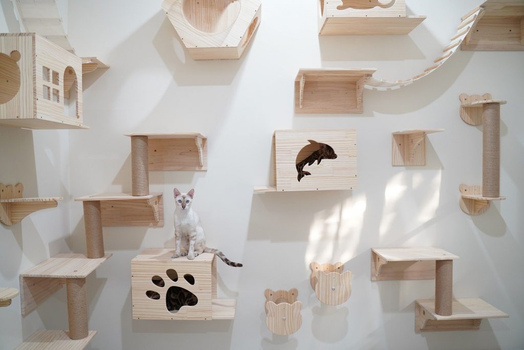 5 ideias de títulos:
1. Transforme sua área de lazer em um paraíso pet: Dicas essenciais.
2. Segurança e diversão: Como criar um espaço pet perfeito.
3. Do piso ao mobiliário: Guia completo para um espaço pet funcional.
4. Setorização inteligente: O segredo para uma área de lazer pet organizada.
5. Bem-estar animal: Enriquecimento e segurança na sua área de lazer.