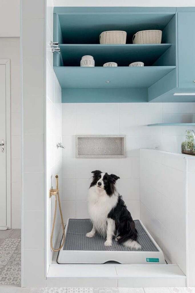 como organizar a área de lazer com espaço pet