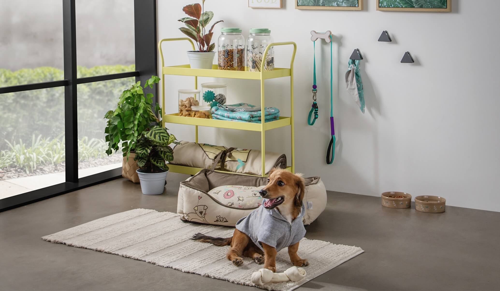 5 ideias de títulos:
1. Transforme sua área de lazer em um paraíso pet: Dicas essenciais.
2. Segurança e diversão: Como criar um espaço pet perfeito.
3. Do piso ao mobiliário: Guia completo para um espaço pet funcional.
4. Setorização inteligente: O segredo para uma área de lazer pet organizada.
5. Bem-estar animal: Enriquecimento e segurança na sua área de lazer.