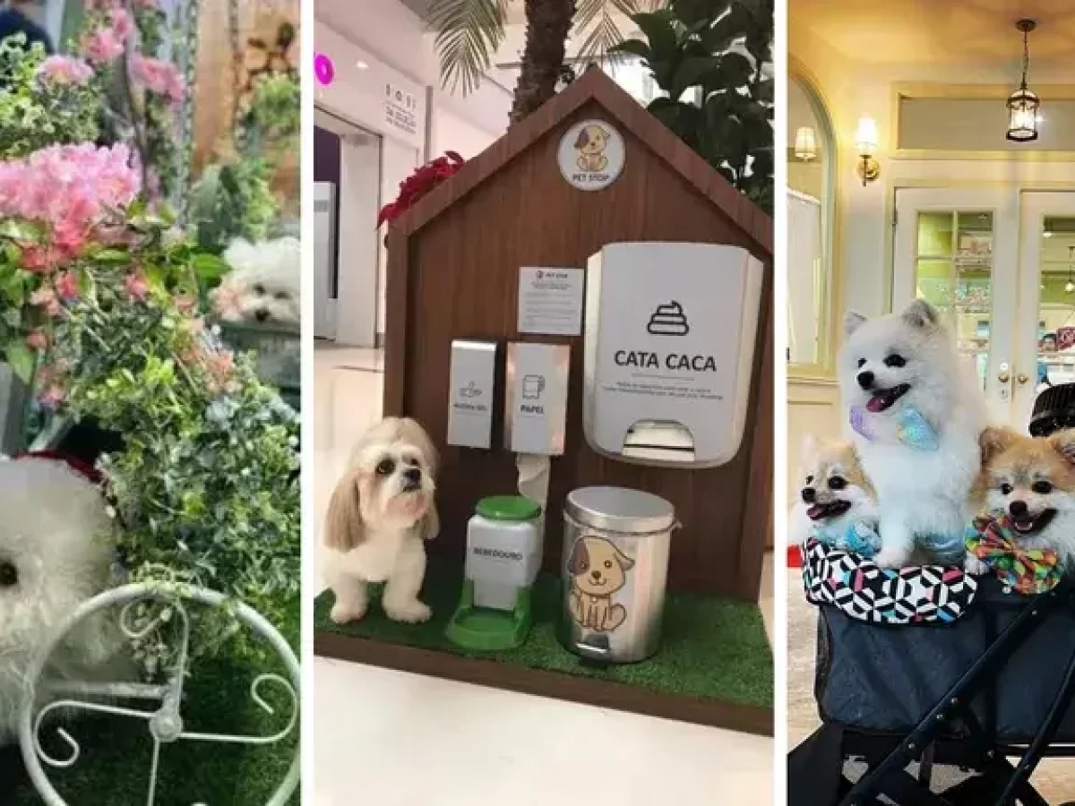 como organizar a área de lazer com espaço pet