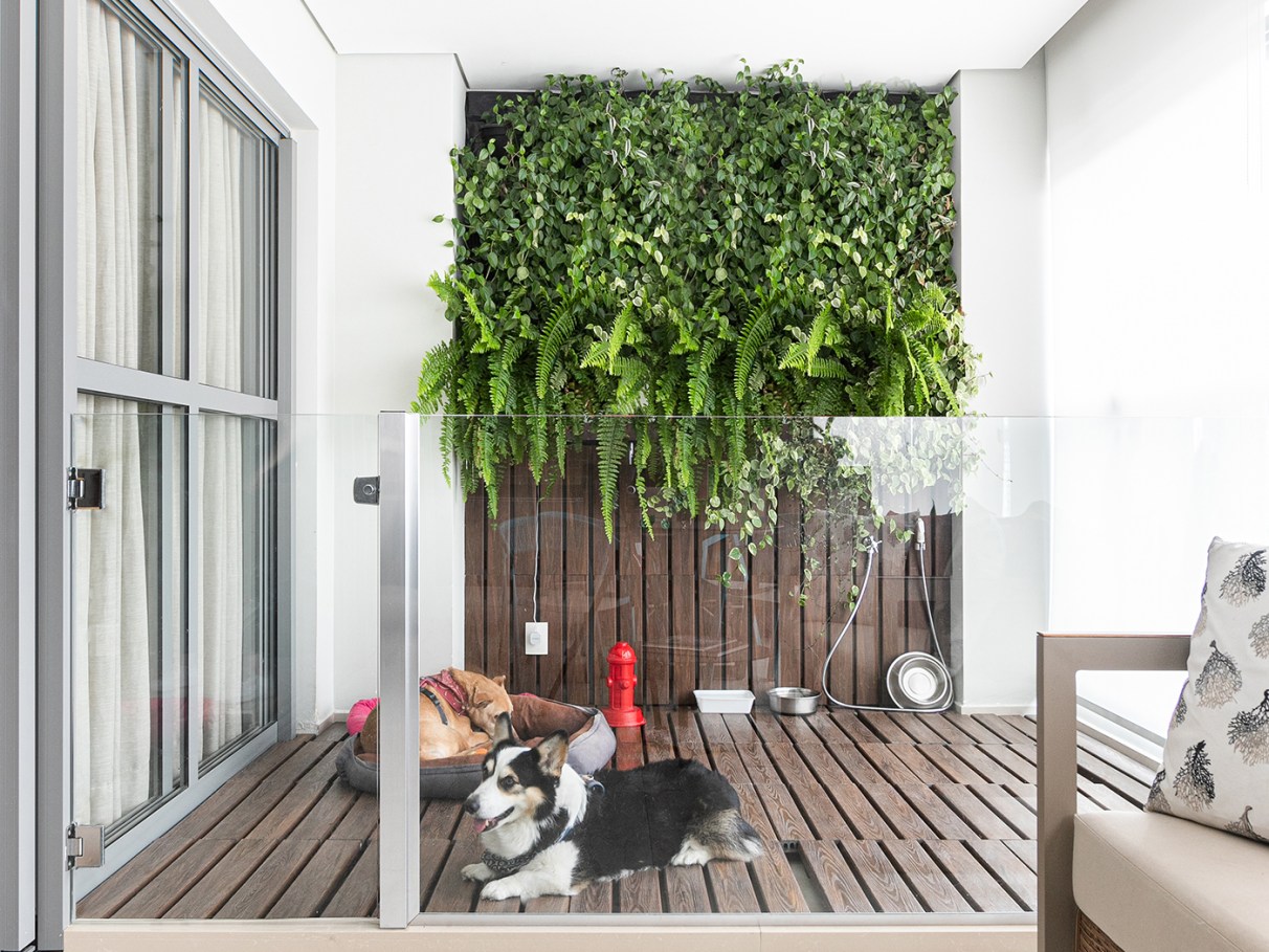 5 ideias de títulos:
1. Transforme sua área de lazer em um paraíso pet: Dicas essenciais.
2. Segurança e diversão: Como criar um espaço pet perfeito.
3. Do piso ao mobiliário: Guia completo para um espaço pet funcional.
4. Setorização inteligente: O segredo para uma área de lazer pet organizada.
5. Bem-estar animal: Enriquecimento e segurança na sua área de lazer.