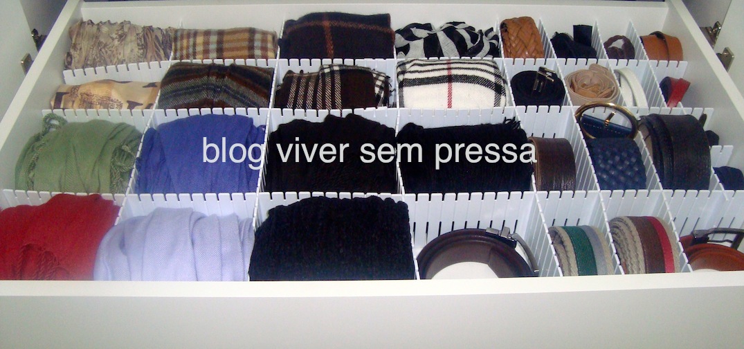 Como Escolher a Melhor Colmeia Organizadora