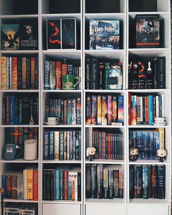 ideias criativas para organizar estante de livros