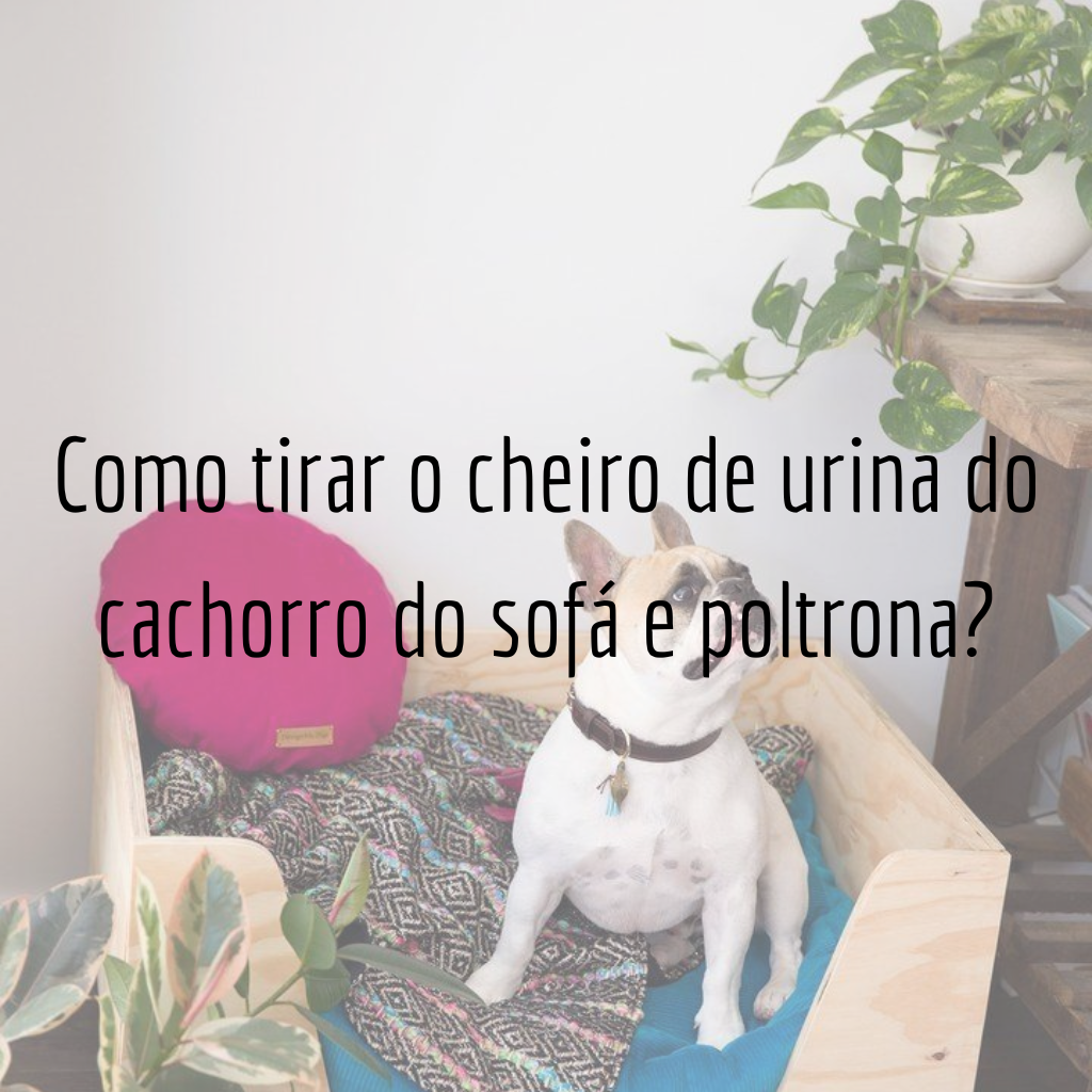 Tecidos de Sofá Mais Resistentes a Odores de Animais: Qual Escolher?