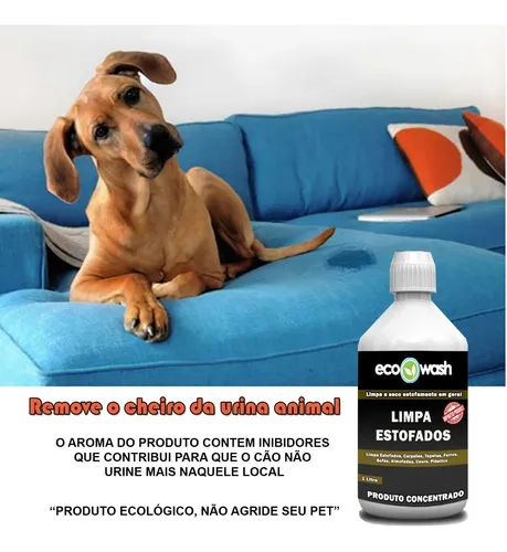 Limpeza Profunda do Sofá: Passo a Passo para Eliminar Odores e Manchas de Pets