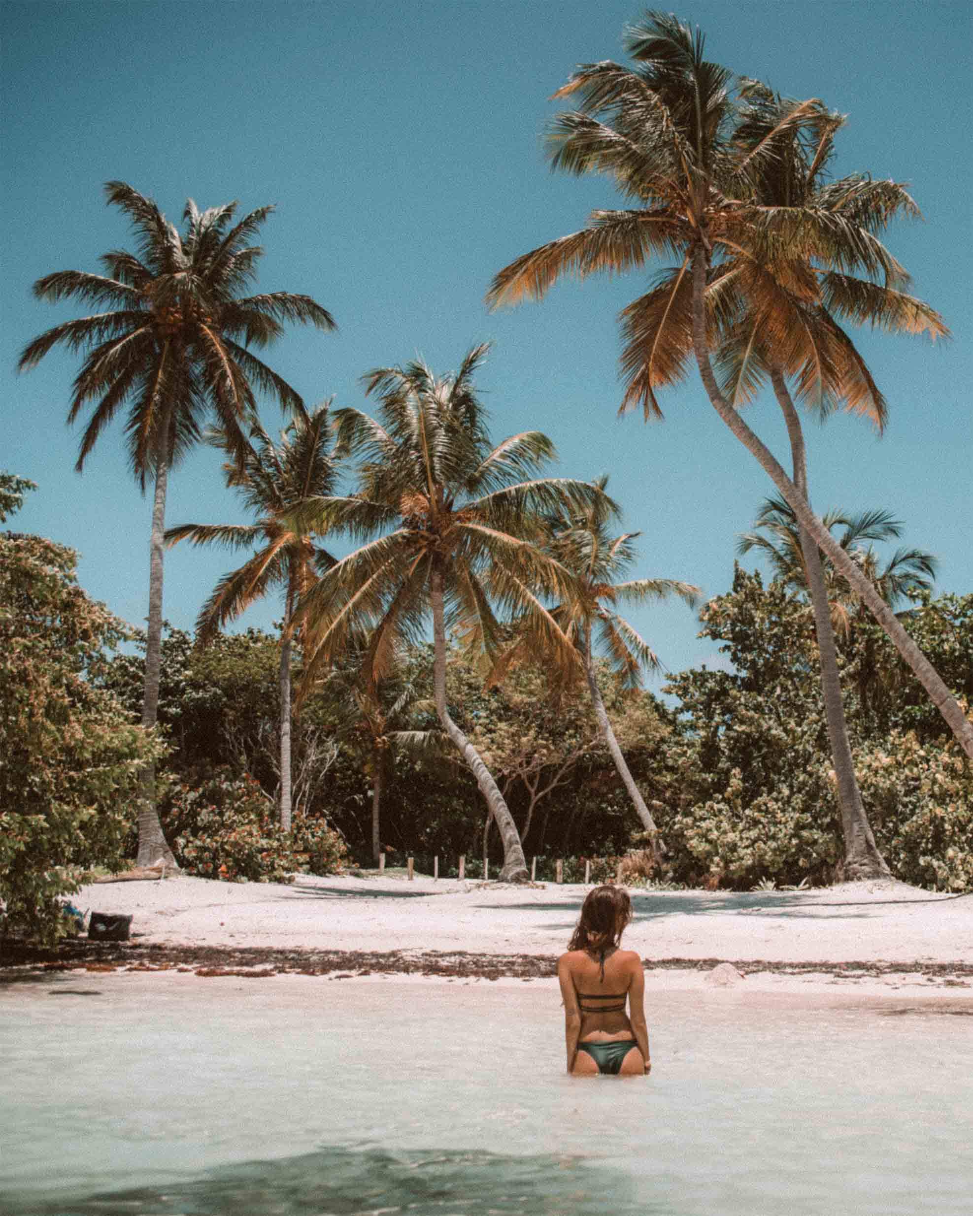 Os Melhores Aplicativos de Edição de Fotos para Viajantes