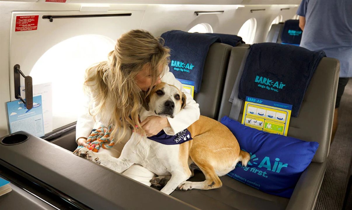 As Melhores Companhias Aéreas para Viajar com Animais de Estimação
