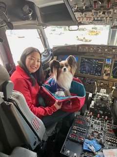 As Melhores Companhias Aéreas para Viajar com Animais de Estimação