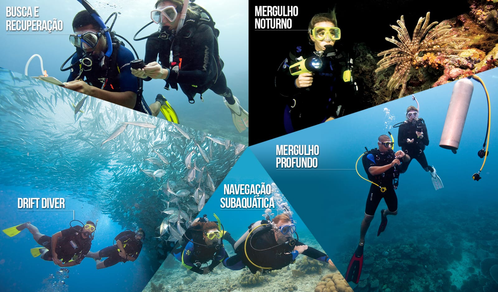 curso PADI Open Water Diver