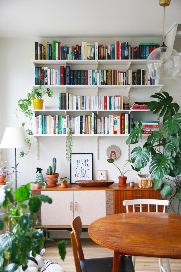 como montar uma biblioteca em casa