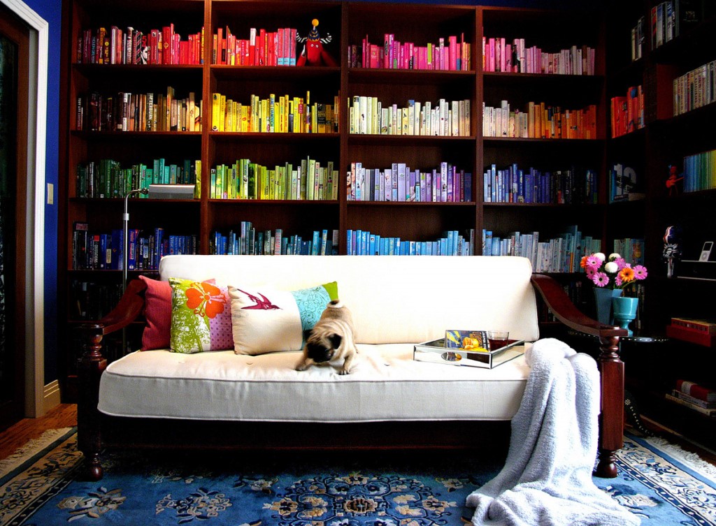 organizar livros em casa