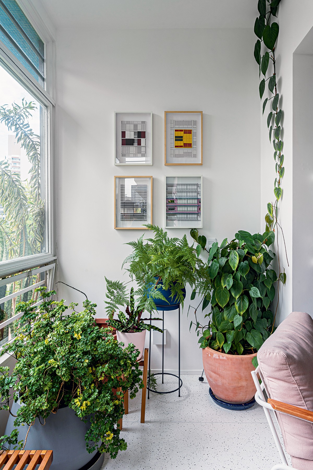 As Melhores Plantas para Varandas com Pouco Sol