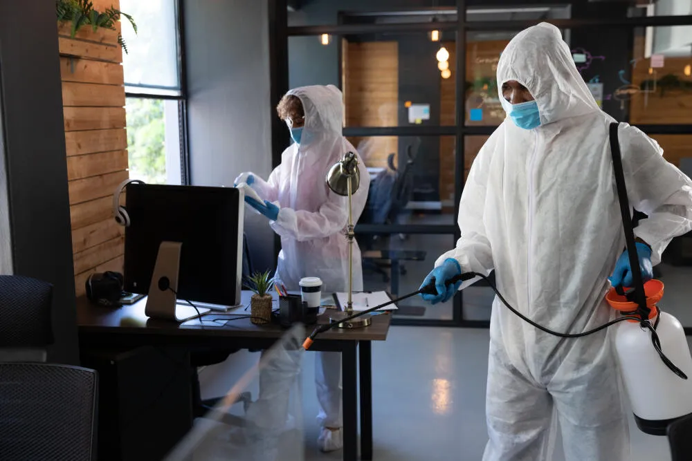 dedetização de comercio frequencia