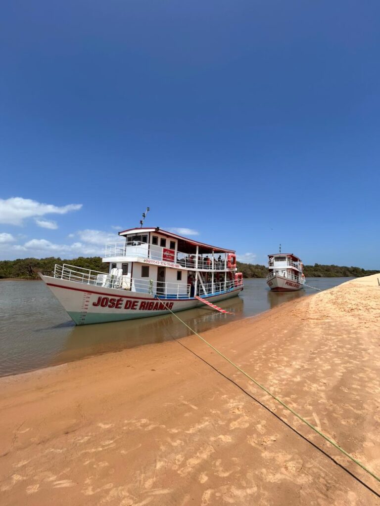 delta do parnaiba revoada dos guaras