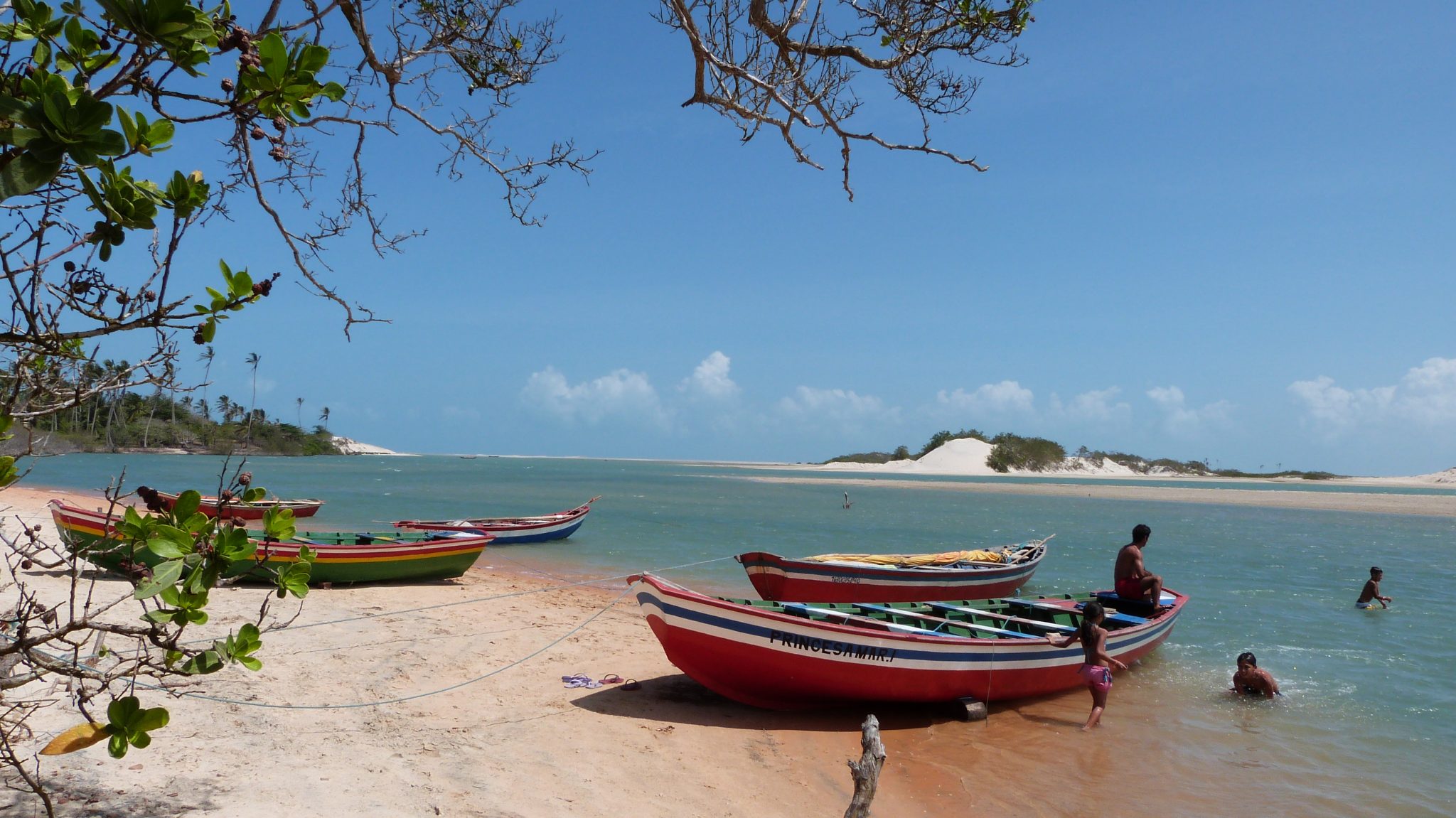Guia Completo da Revoada dos Guarás no Delta do Parnaíba
