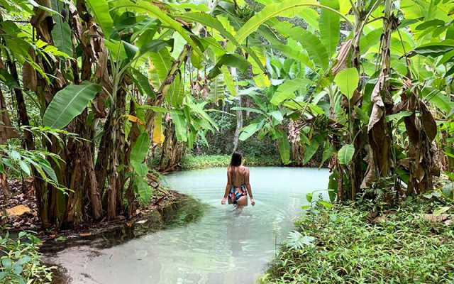 1. Guia Completo: Roteiro de 5 Dias no Jalapão para uma Aventura Inesquecível
2. Jalapão na Temporada Seca: Maio vs. Julho - Qual a Melhor Escolha?
3. Jalapão por Conta Própria vs. Agência: Prós e Contras para sua Viagem
4. As 5 Atrações Imperdíveis do Jalapão: Fervedouros