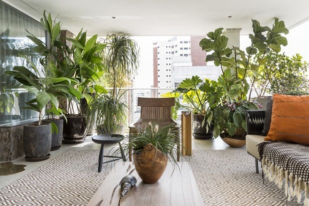 Como Criar um Jardim Vertical em Apartamentos Pequenos