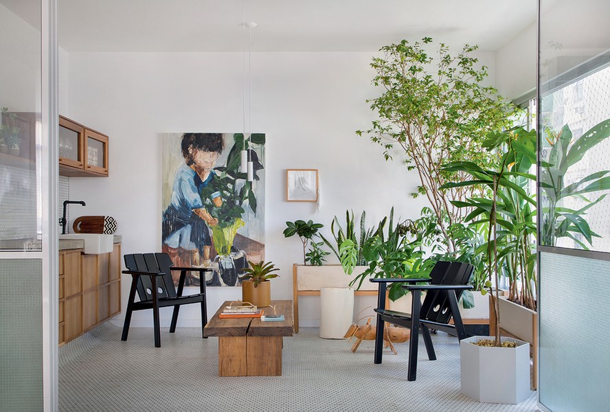 dicas para escolher plantas para apartamento