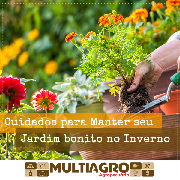 dicas para manter o jardim bonito no inverno