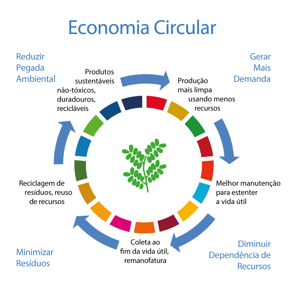 economia circular o que é