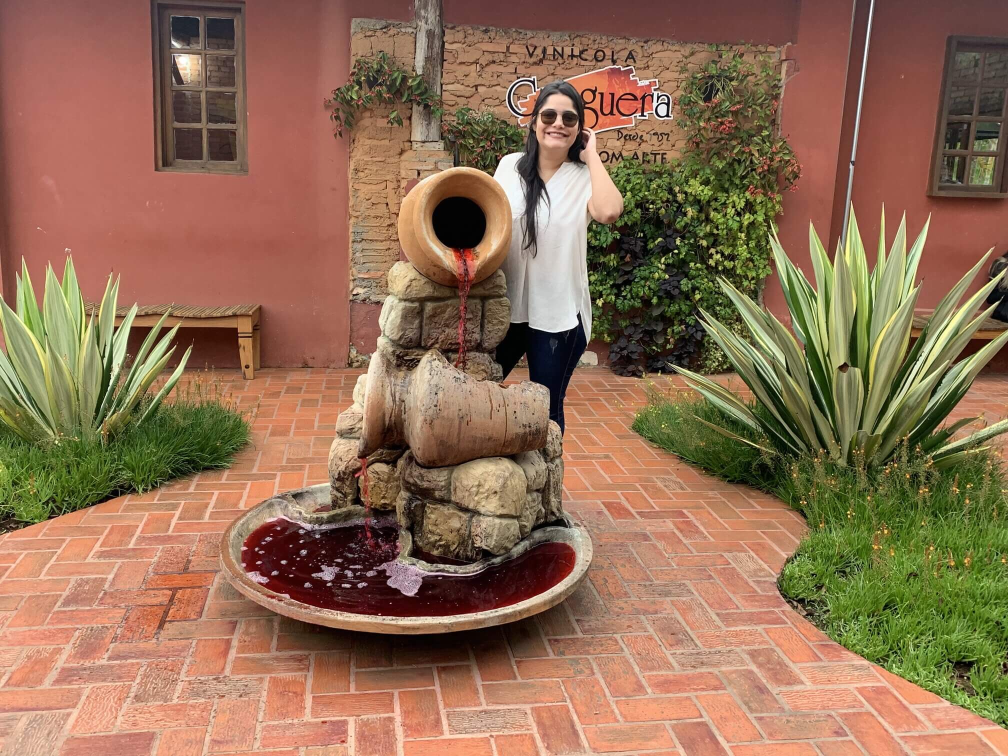 erros comuns ao visitar o roteiro do vinho são roque