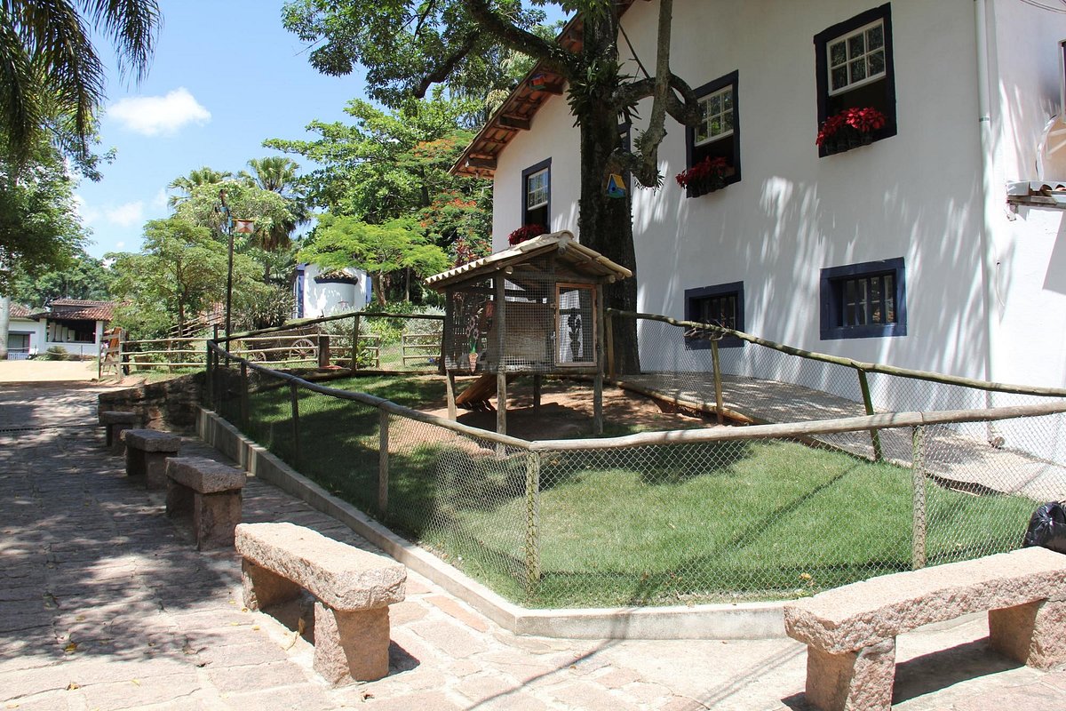 erros comuns ao visitar fazenda do chocolate itu