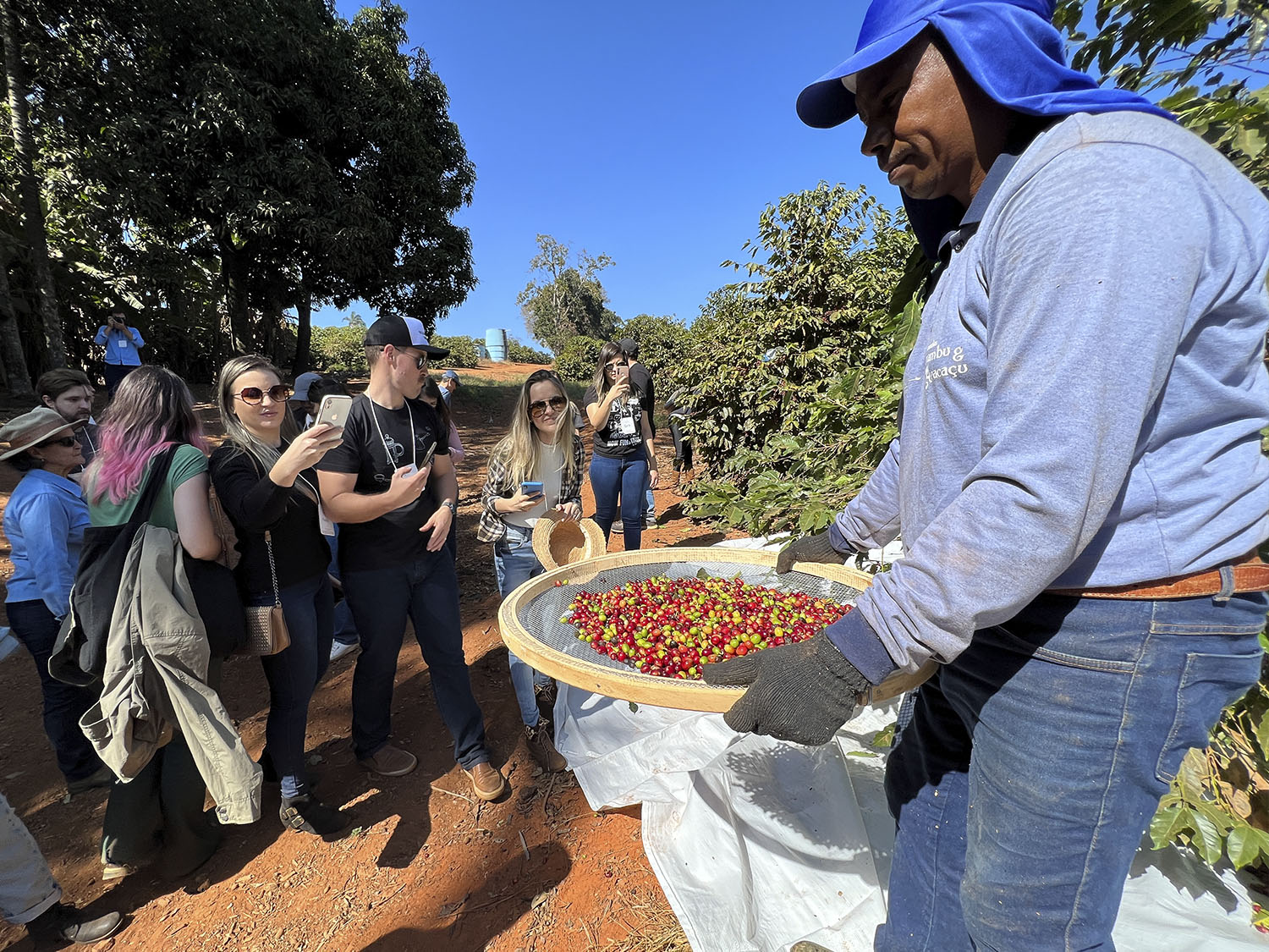 fazendas de café historicas visita