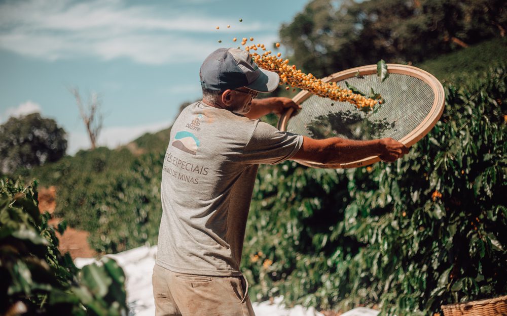 fazendas de café historicas visita