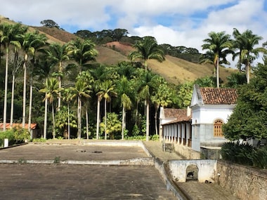 Roteiro de Fazendas de Café: Experiências Imperdíveis no Brasil