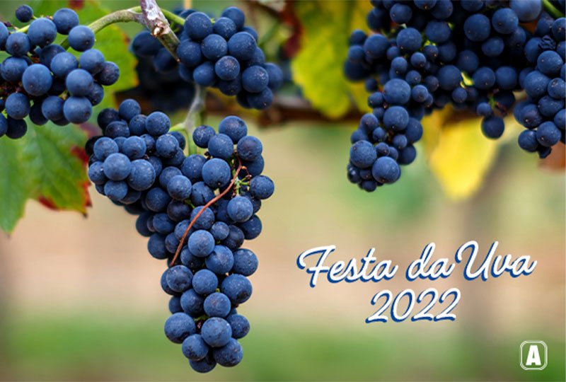 Como Aproveitar a Festa da Uva 2026 com Entrada Gratuita