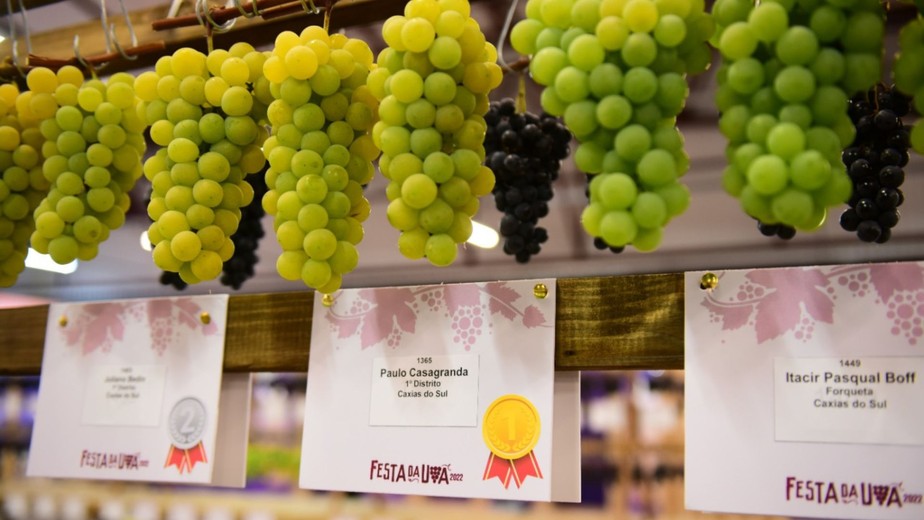 Guia Completo de Ingressos e Preços da Festa da Uva 2026