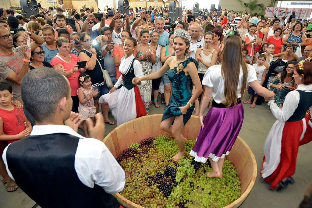 Guia Completo de Ingressos e Preços da Festa da Uva 2026