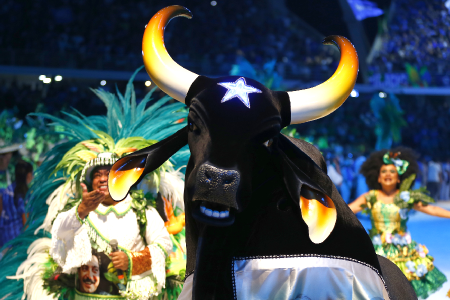 festival folclorico de parintins garantido caprichoso